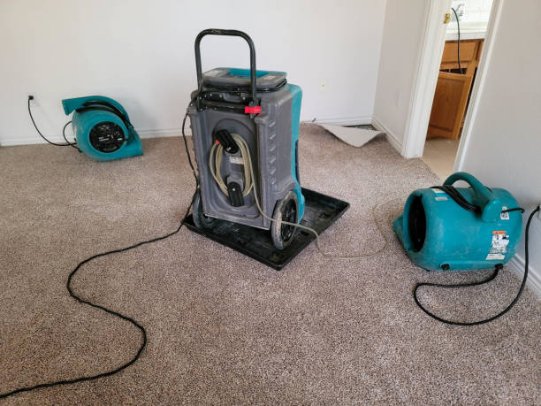 Best Water damage restoration services  in Lake Riverside, CA