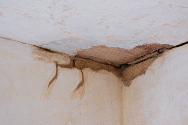 Best Flooded house restoration  in Lake Riverside, CA