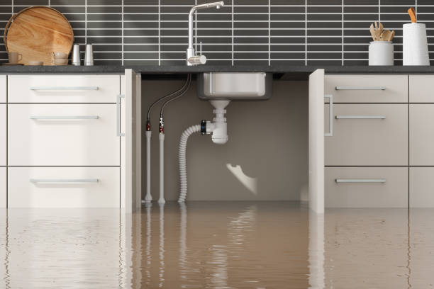 Best Water damage restoration experts  in Lake Riverside, CA
