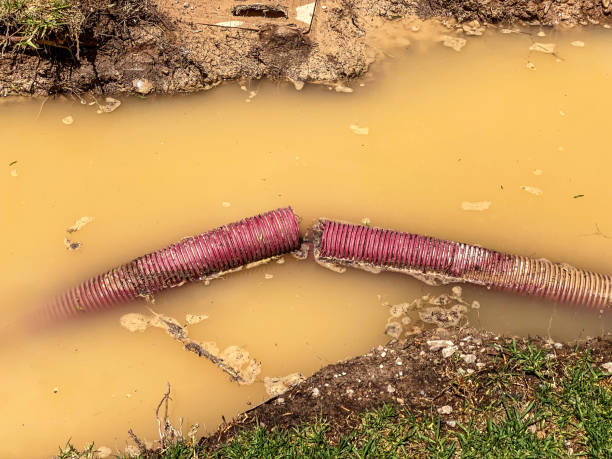 Water damage restoration process in Lake Riverside, CA