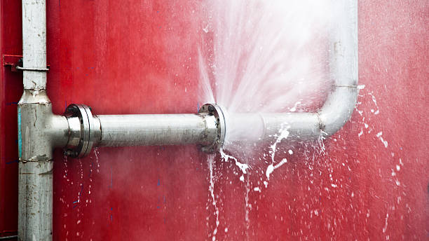 Best Flood damage cleanup  in Lake Riverside, CA